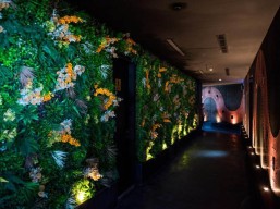 20% discount on the total bill