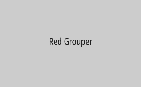 Red Grouper